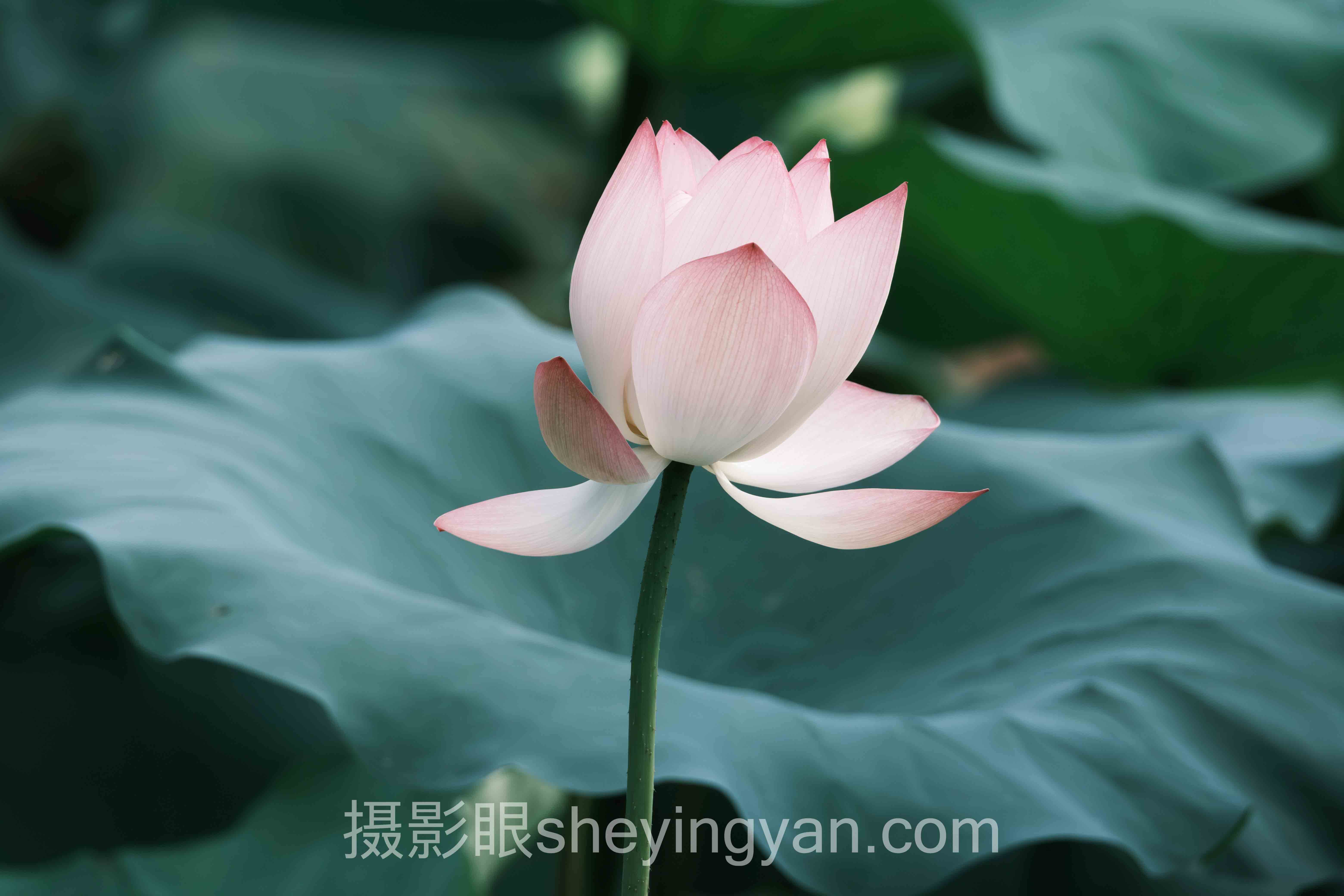 摄影眼培训班哪家好避坑指南：7个关键要点全梳理