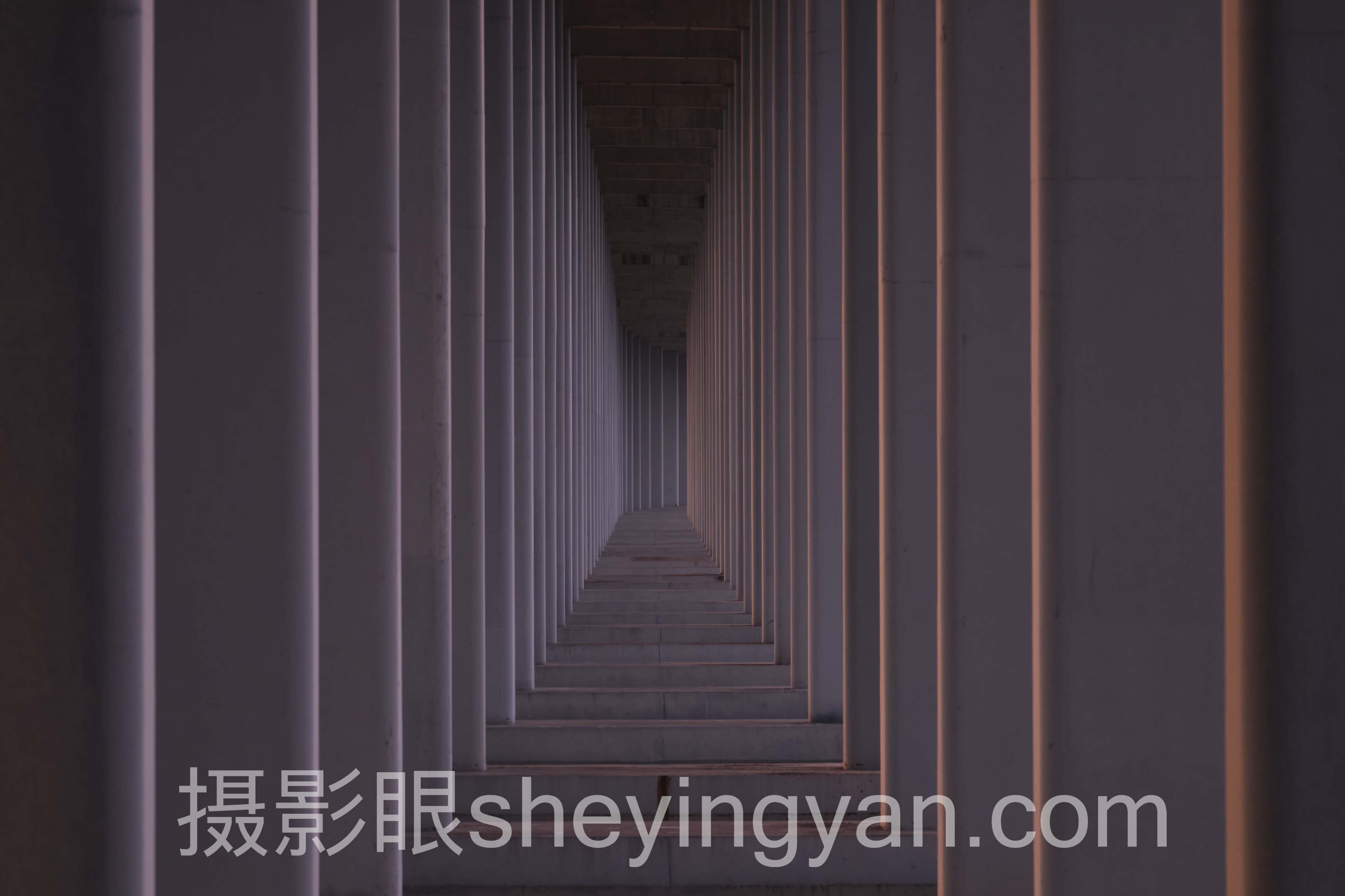 AI照片评分如何操作？专业摄影师的实战揭秘