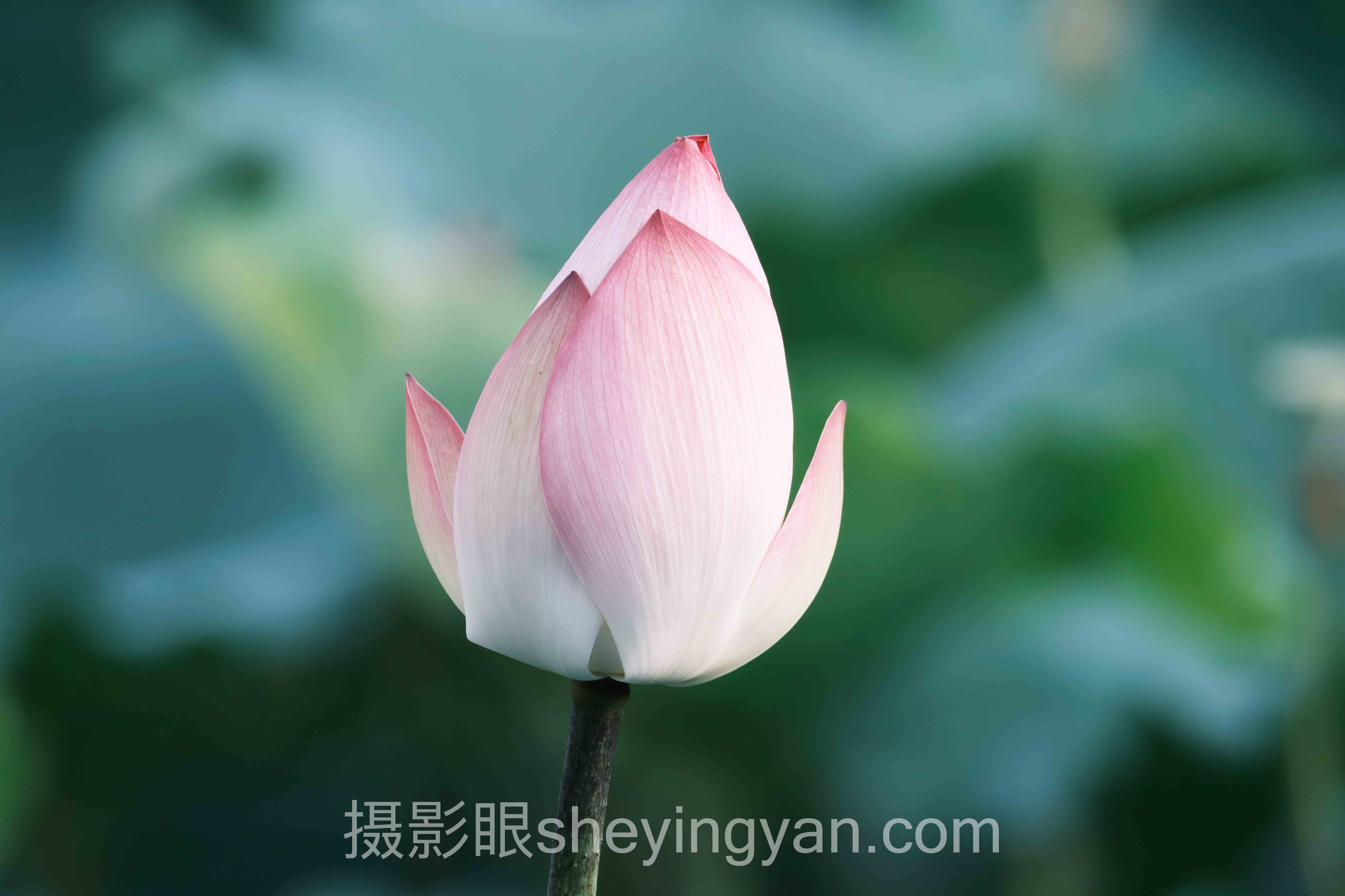 透视索尼相机夜景拍摄参数：从底层逻辑到发展趋势