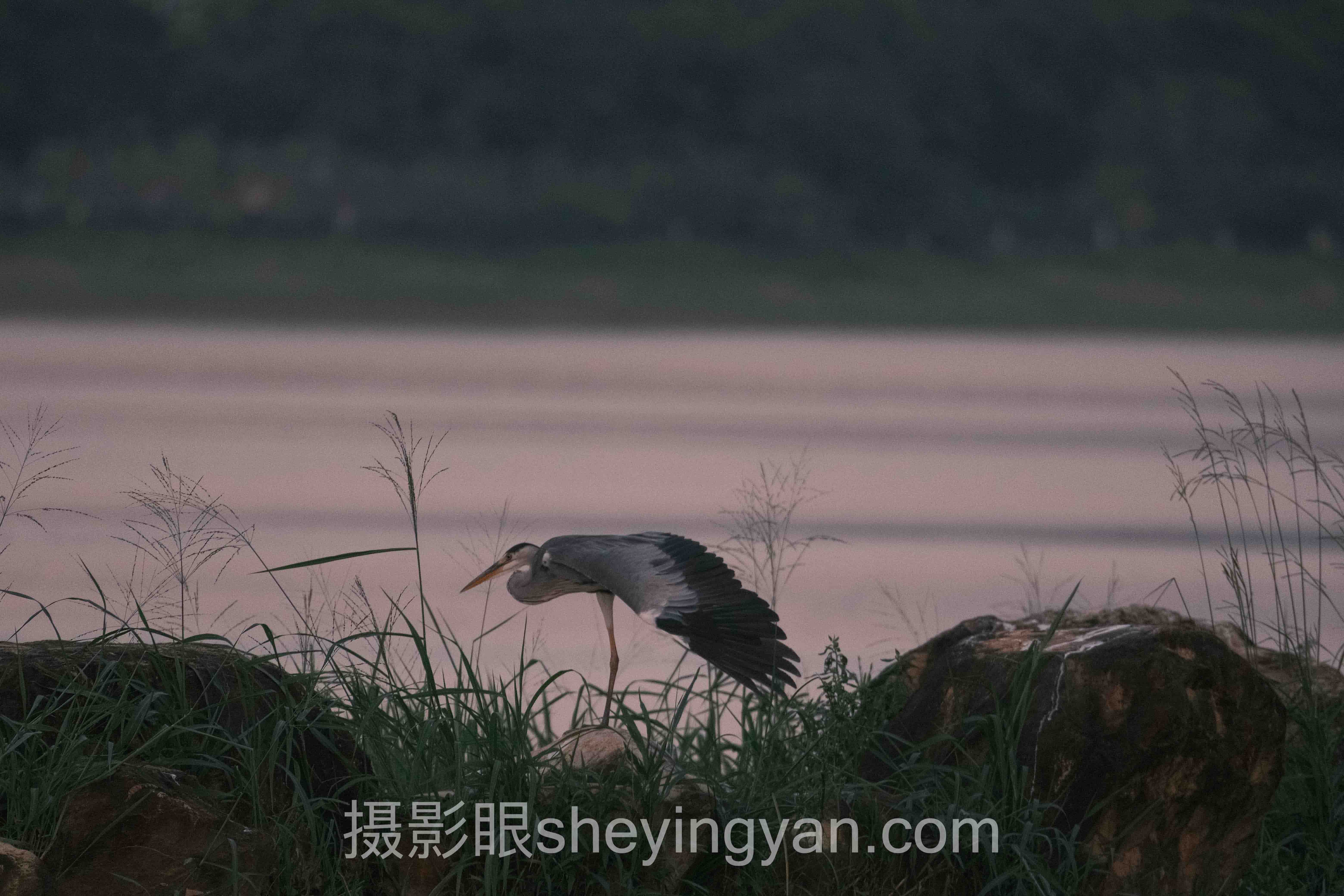 摄影眼平台合作