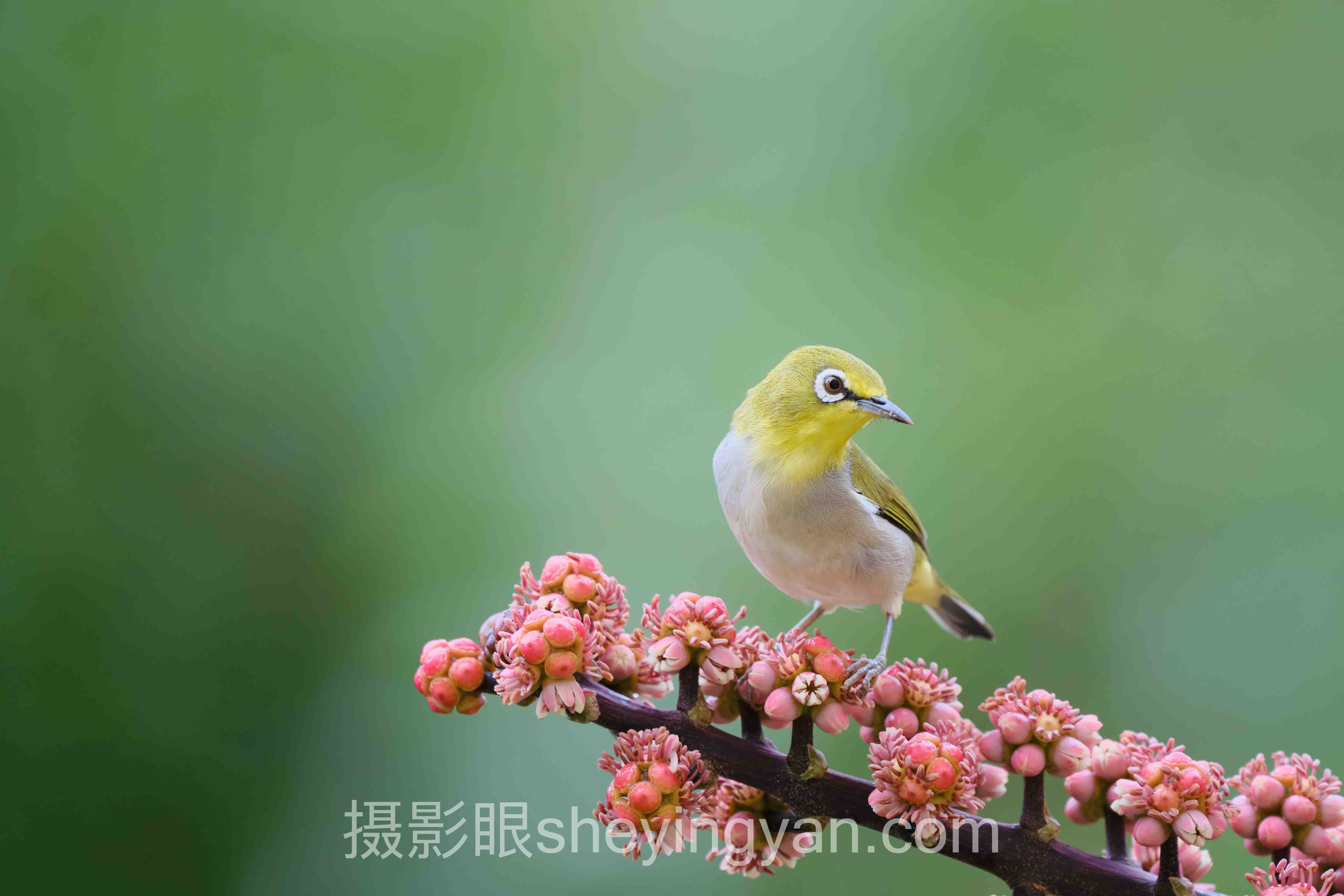 照片点评平台推荐