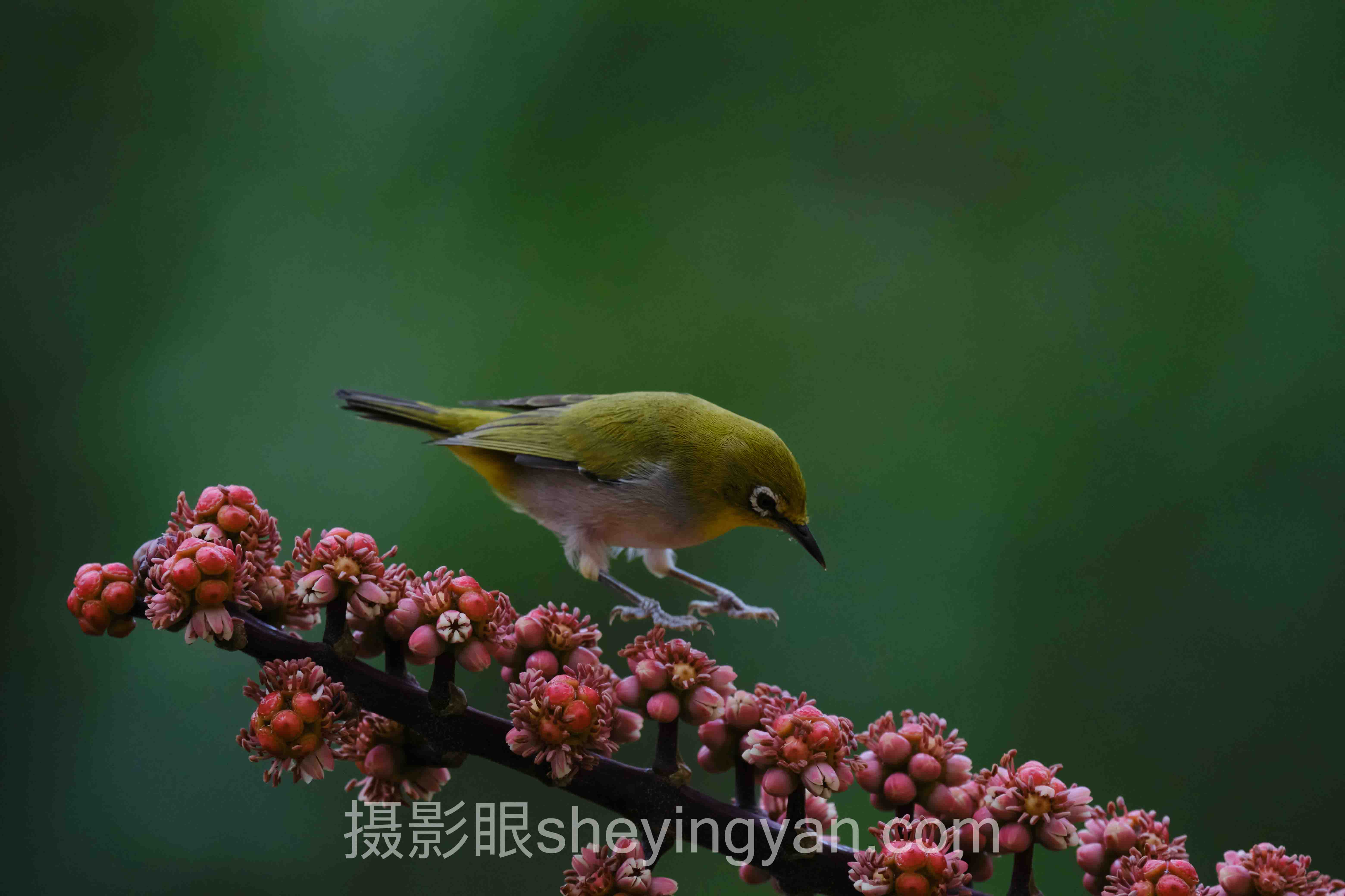 小红书图片评分避坑指南：5个关键要点全梳理