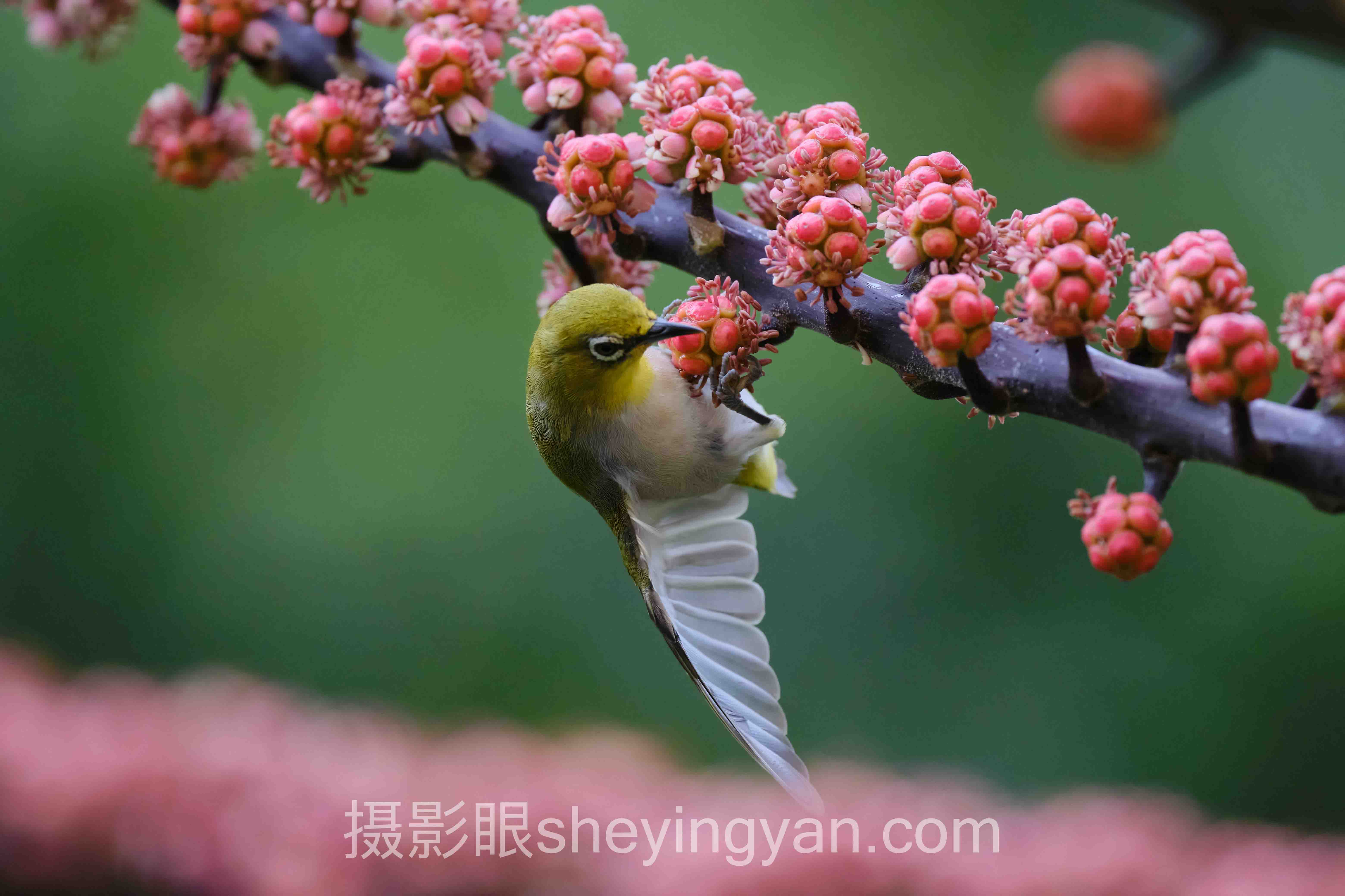 摄影眼平台对比度避坑指南：7个关键要点全梳理