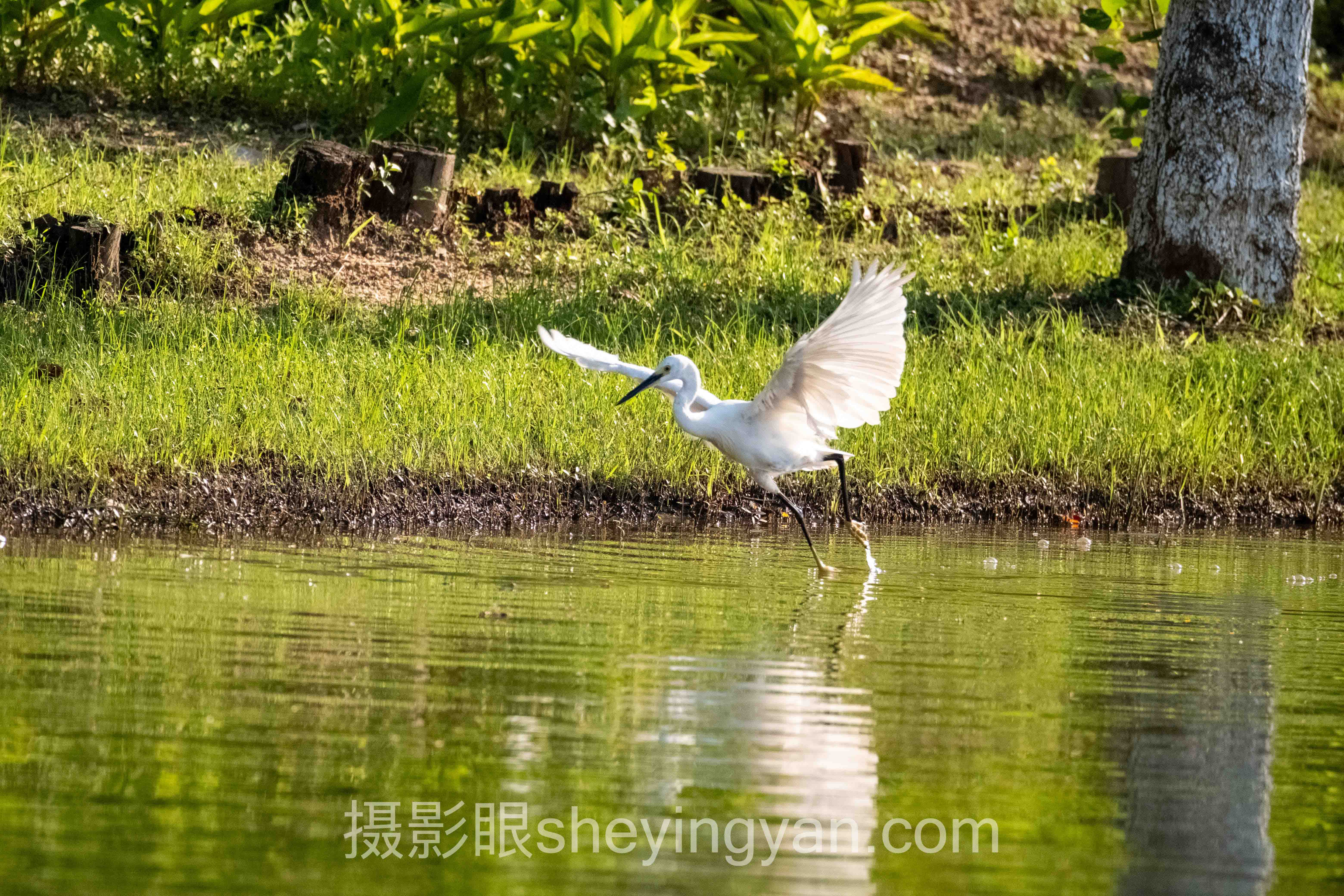 透视2025年视觉中国签约不通过新规：从底层逻辑到发展趋势